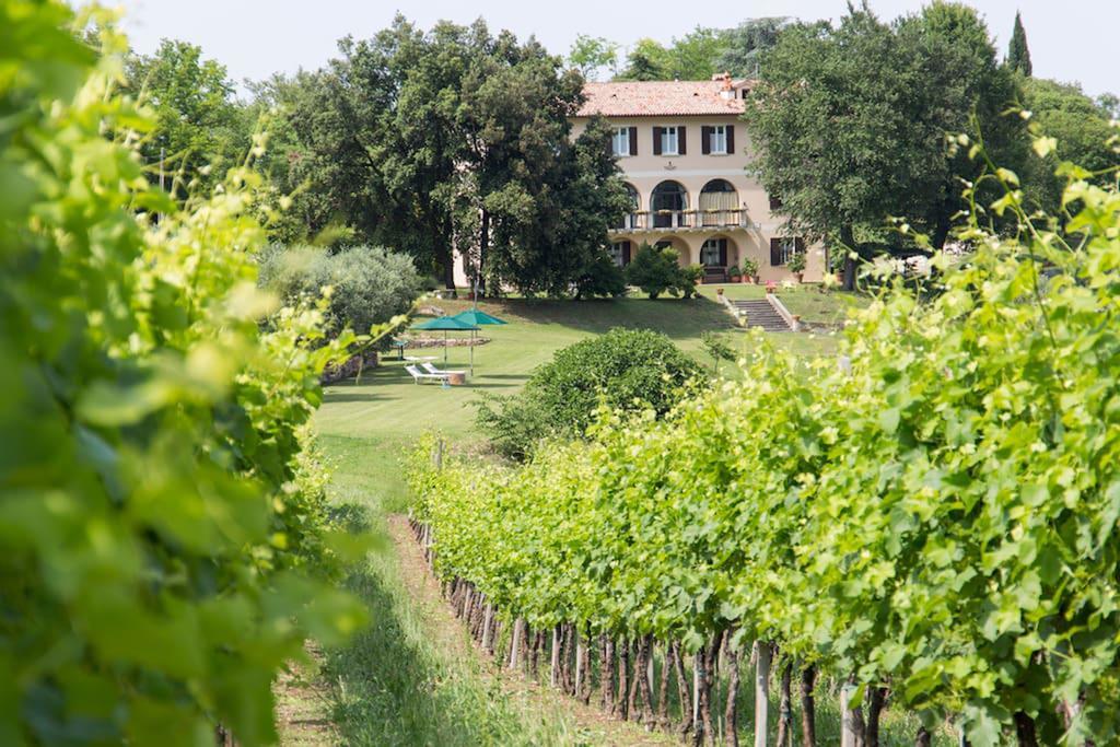 Villa Marani Rovolon Eksteriør bilde